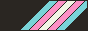 trans flag